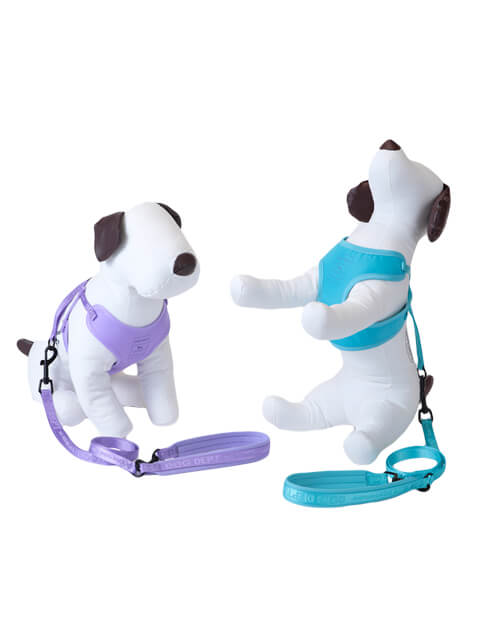 ジャガードロゴ　リード＆ソフトハーネスセット ブランドのドッグデプト/DOG DEPT