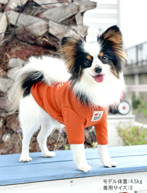 パピヨンTシャツ犬服ブランドのドッグデプト/DOG DEPT