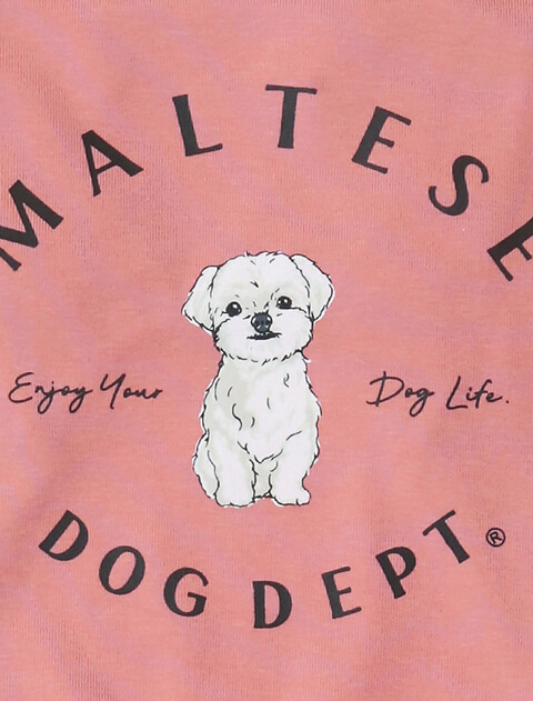 マルチーズTシャツ犬服ブランドのドッグデプト/DOG DEPT