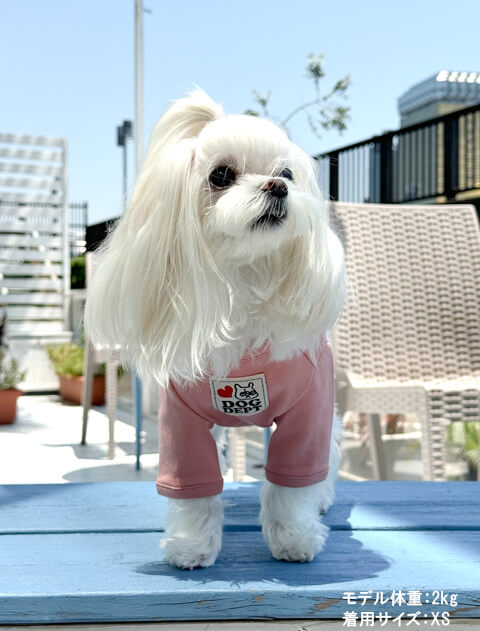 マルチーズTシャツ犬服ブランドのドッグデプト/DOG DEPT