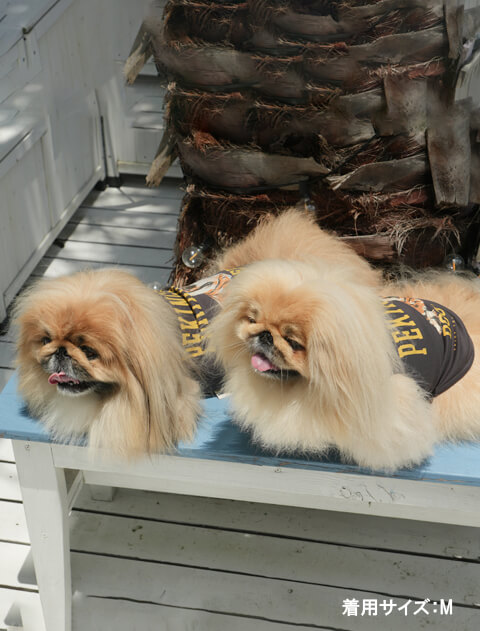 ペキニーズノースリーブ犬服ブランドのドッグデプト/DOG DEPT