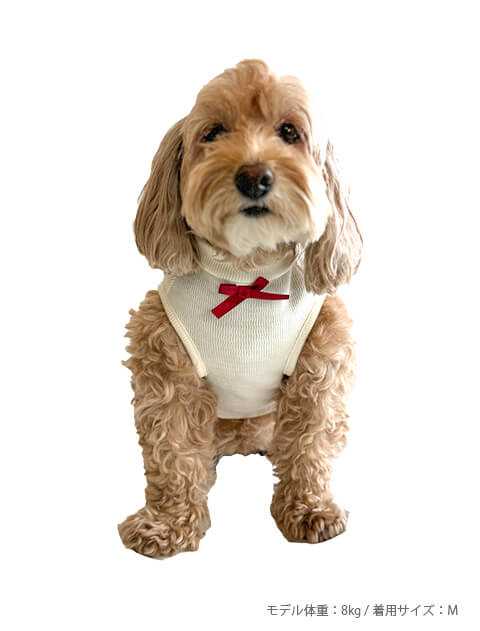 レイヤーチェックペア 犬服ブランドのドッグデプト/DOG DEPT