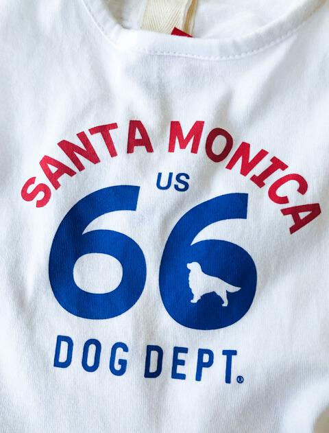 ROUTE66　ペア 犬服ブランドのドッグデプト/DOG DEPT