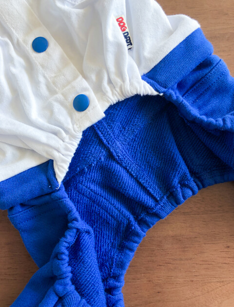 ROUTE66　ペア 犬服ブランドのドッグデプト/DOG DEPT