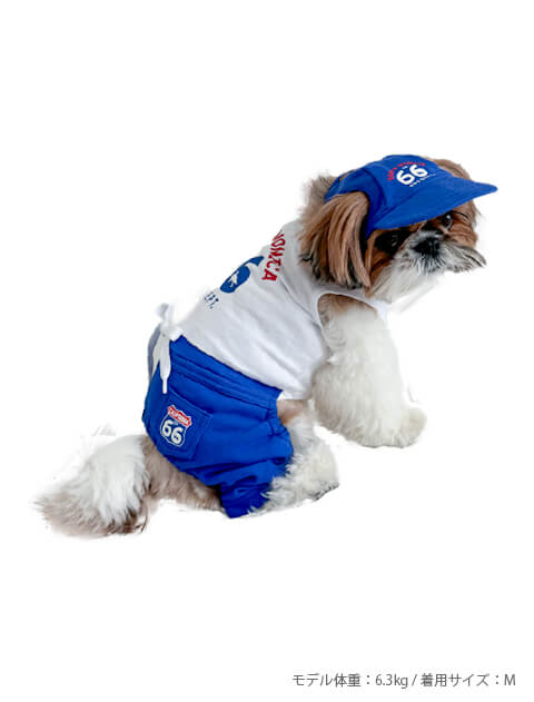 ROUTE66　ペア 犬服ブランドのドッグデプト/DOG DEPT