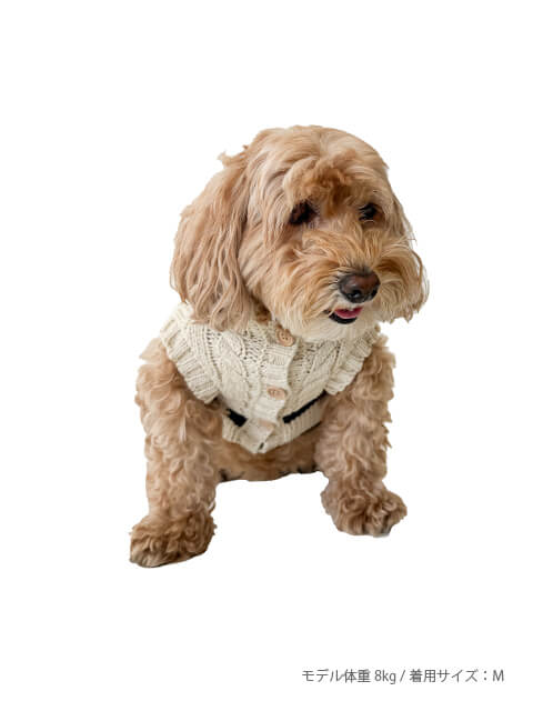 ケーブルボーダーニット犬服ブランドのドッグデプト/DOG DEPT