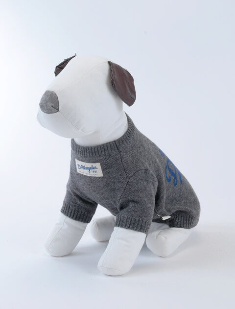 スポーツロゴ　ジャガードニット犬服ブランドのドッグデプト/DOG DEPT