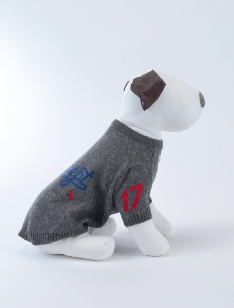 スポーツロゴ　ジャガードニット犬服ブランドのドッグデプト/DOG DEPT