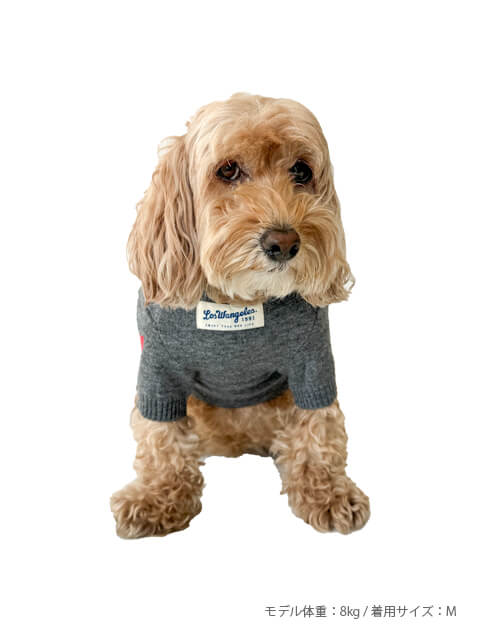 スポーツロゴ　ジャガードニット犬服ブランドのドッグデプト/DOG DEPT