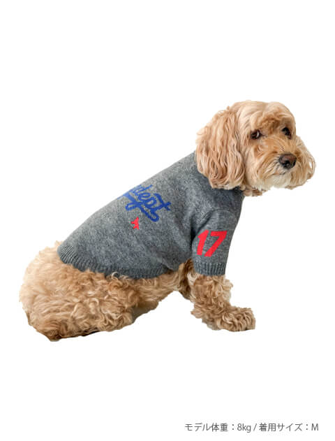 スポーツロゴ　ジャガードニット犬服ブランドのドッグデプト/DOG DEPT