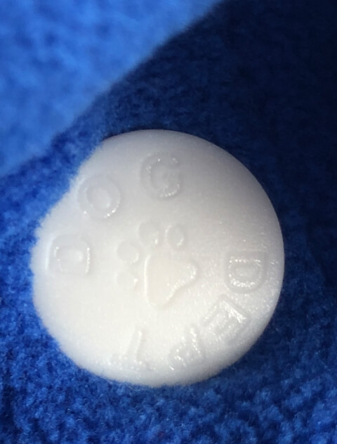 スポーツロゴフリーススタジャン犬服ブランドのドッグデプト/DOG DEPT