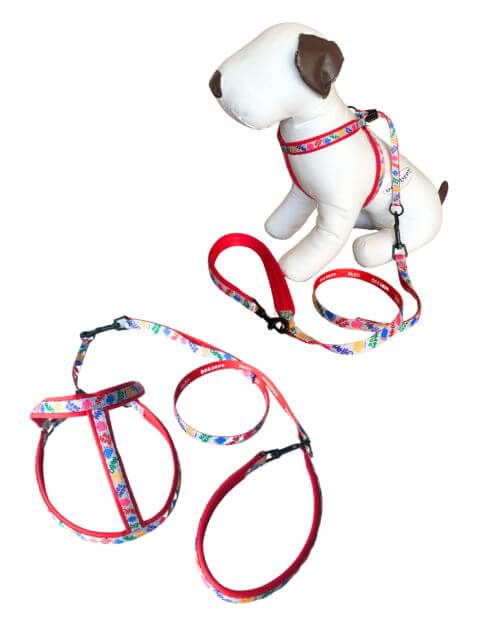 【DOG GOODS】NO!NO!DOG　ライトハーネス&リード