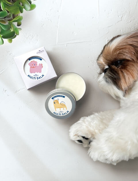 MULTI BALM ブランドのドッグデプト/DOG DEPT