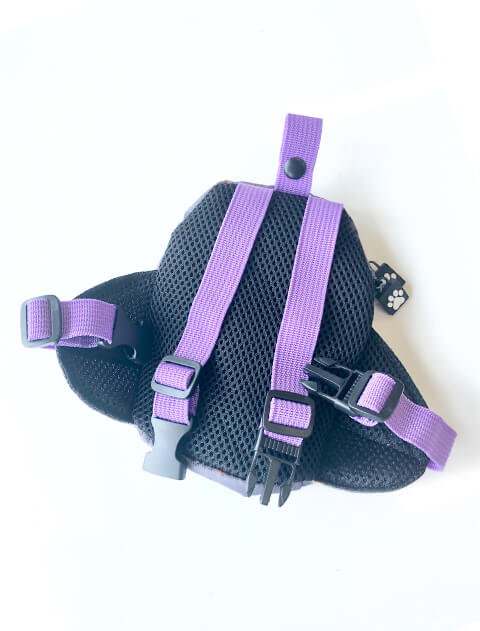 ダイナソーリュック ブランドのドッグデプト/DOG DEPT