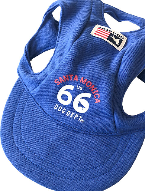 ROUTE６6 ドッグキャップ ブランドのドッグデプト/DOG DEPT
