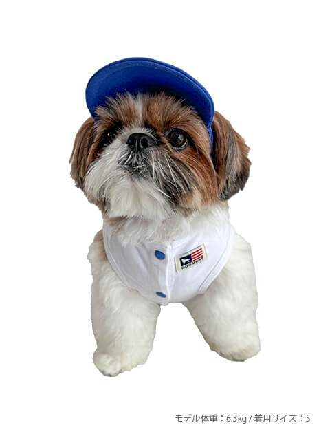 ROUTE６6 ドッグキャップ ブランドのドッグデプト/DOG DEPT