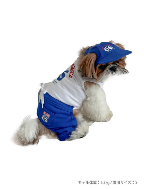 ROUTE６6 ドッグキャップ ブランドのドッグデプト/DOG DEPT