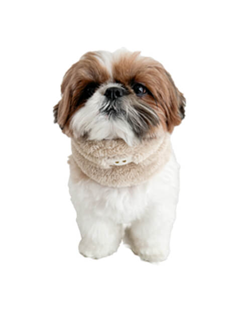 ボアドッグスヌード ブランドのドッグデプト/DOG DEPT