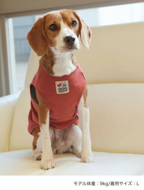 ビーグルノースリーブ犬服ブランドのドッグデプト/DOG DEPT