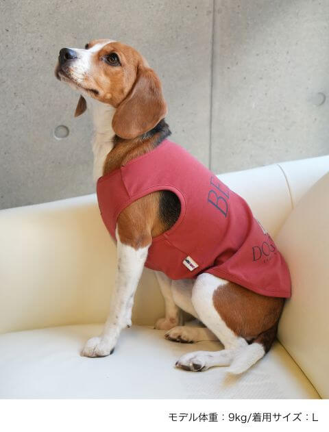 ビーグルノースリーブ犬服ブランドのドッグデプト/DOG DEPT