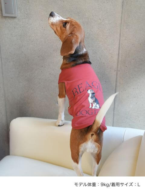 ビーグルノースリーブ犬服ブランドのドッグデプト/DOG DEPT