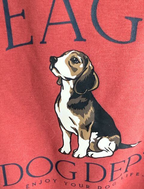 ビーグルノースリーブ犬服ブランドのドッグデプト/DOG DEPT