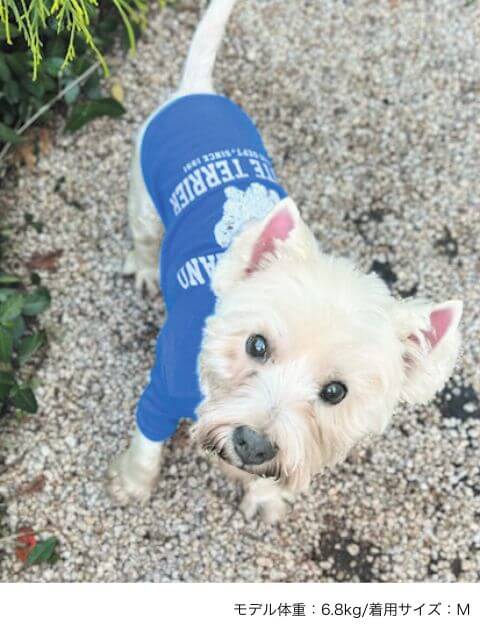 ウエスティノースリーブ犬服ブランドのドッグデプト/DOG DEPT