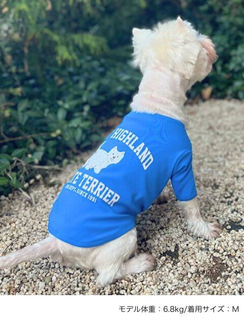 ウエスティノースリーブ犬服ブランドのドッグデプト/DOG DEPT