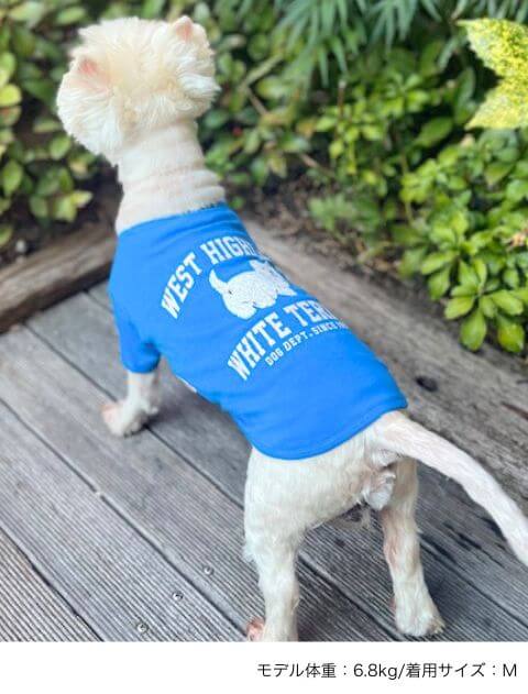 ウエスティノースリーブ犬服ブランドのドッグデプト/DOG DEPT