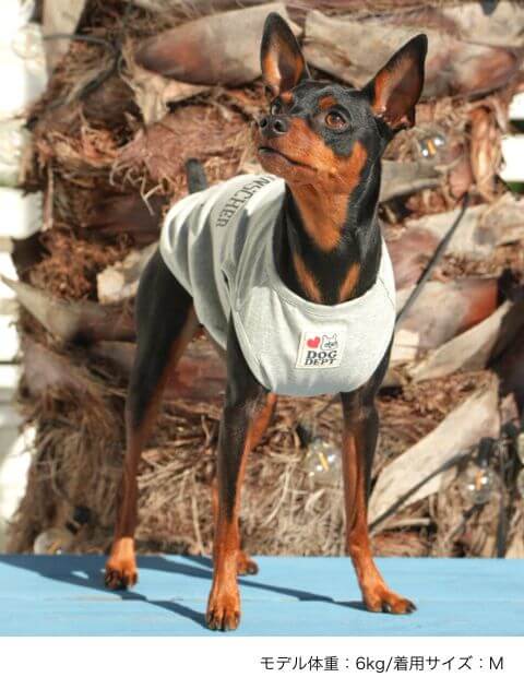 ミニピンノースリーブ犬服ブランドのドッグデプト/DOG DEPT
