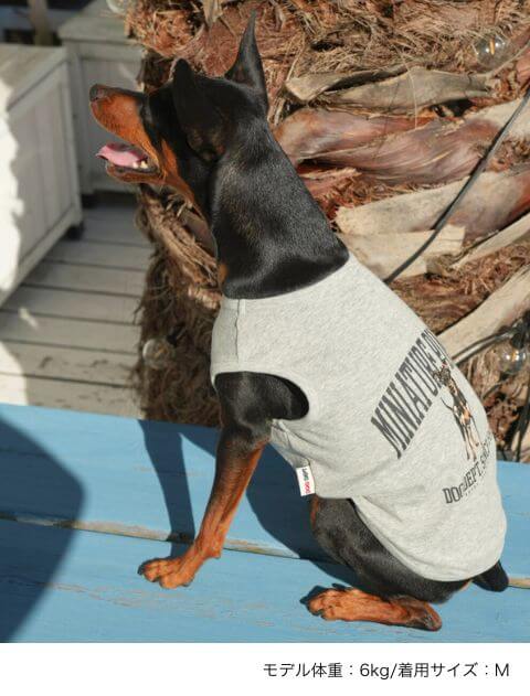 Dog dept ドッグデプト　大型犬　機能性ウエア DOG WEAR（ドッグウェア・犬服） > 4L(XXXL)[大型犬] | DOG DEPT