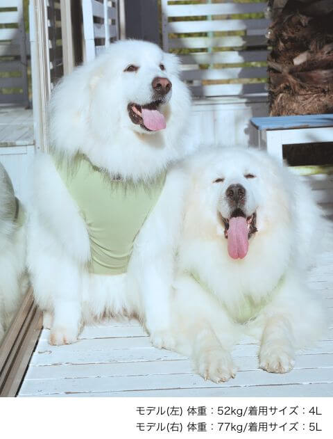 グレートピレニーズノースリーブ犬服ブランドのドッグデプト/DOG DEPT