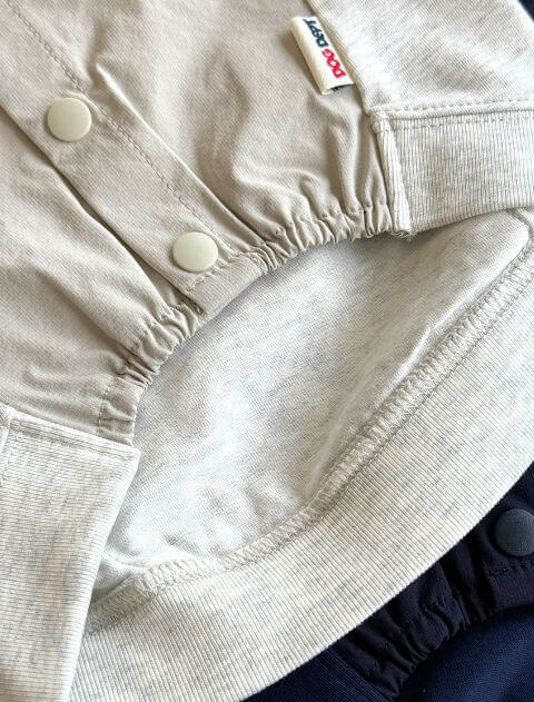 スポーツロゴ　スウェットパーカー 犬服ブランドのドッグデプト/DOG DEPT