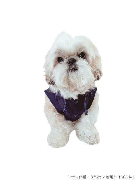 スポーツロゴ　スウェットパーカー 犬服ブランドのドッグデプト/DOG DEPT