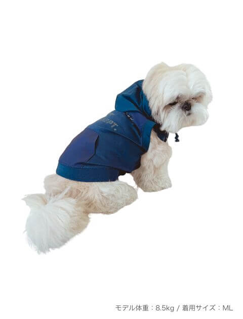 スポーツロゴ　スウェットパーカー 犬服ブランドのドッグデプト/DOG DEPT