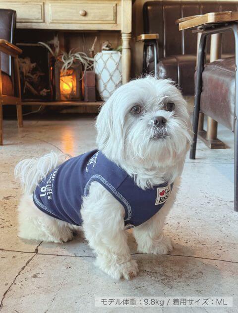 配色ステッチペア犬服ブランドのドッグデプト/DOG DEPT