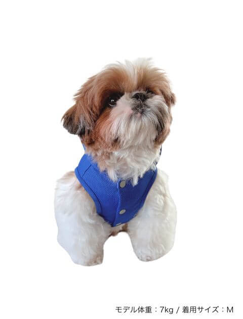 スポーツロゴ　スウェットパーカー 犬服ブランドのドッグデプト/DOG DEPT