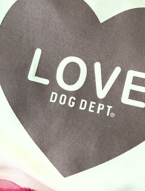 ハートチョコレートペア犬服ブランドのドッグデプト/DOG DEPT