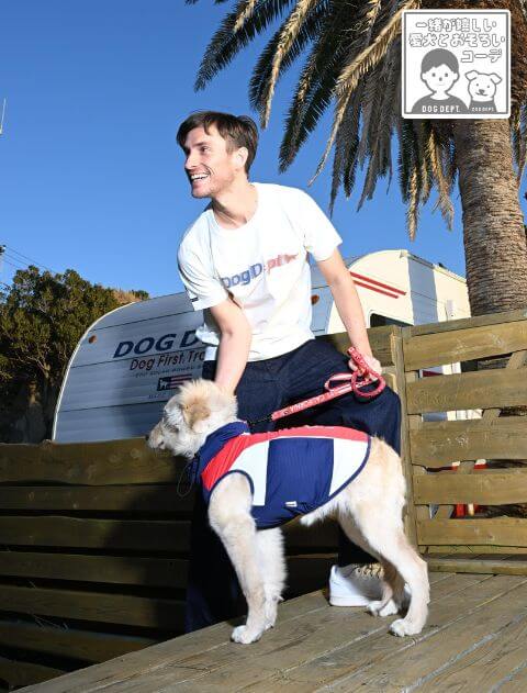 スーパークールメッシュノースリーブ 犬服ブランドのドッグデプト/DOG DEPT