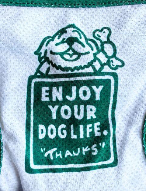 濡らして着るぽっちゃりドッグ Market メッシュノースリーブ 犬服ブランドのドッグデプト/DOG DEPT