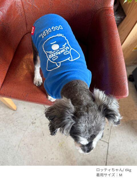 MY DOG is No.1シュナウザーノースリーブ犬服ブランドのドッグデプト/DOG DEPT