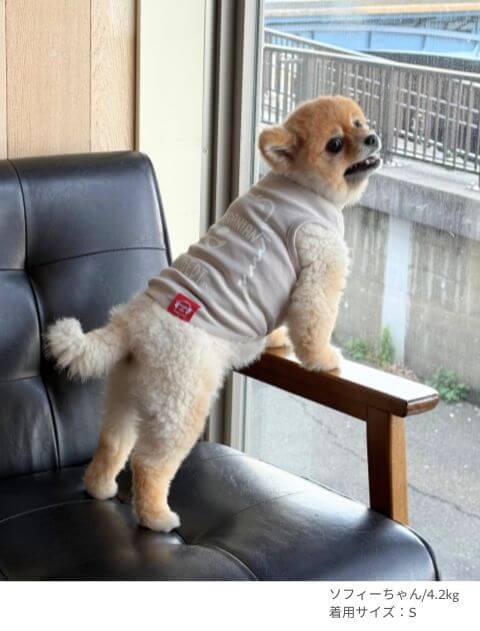 MY DOG is No.1ポメラニアンノースリーブ犬服ブランドのドッグデプト/DOG DEPT