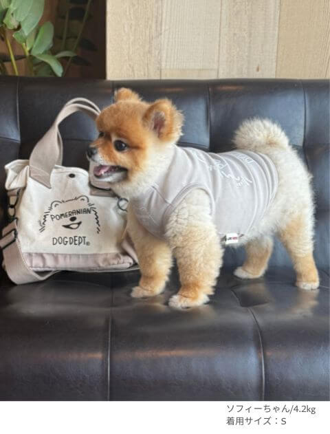 MY DOG is No.1ポメラニアンノースリーブ犬服ブランドのドッグデプト/DOG DEPT