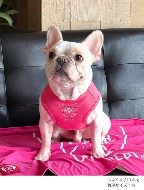 MY DOG is No.1フレブルノースリーブ犬服ブランドのドッグデプト/DOG DEPT