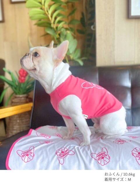 MY DOG is No.1フレブルノースリーブ犬服ブランドのドッグデプト/DOG DEPT
