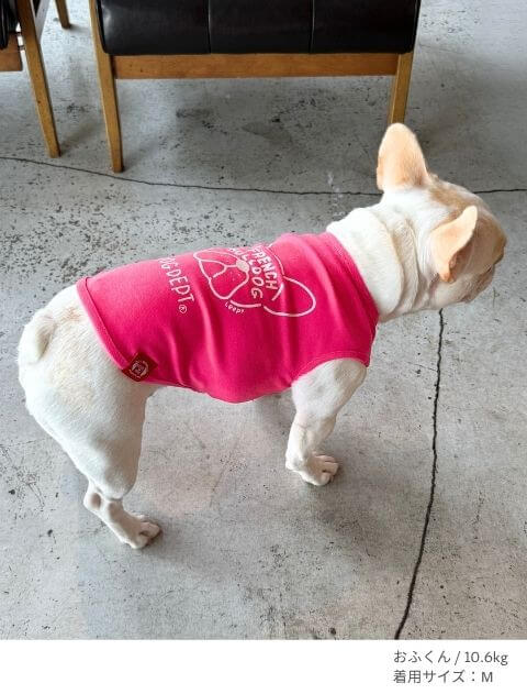 MY DOG is No.1フレブルノースリーブ犬服ブランドのドッグデプト/DOG DEPT
