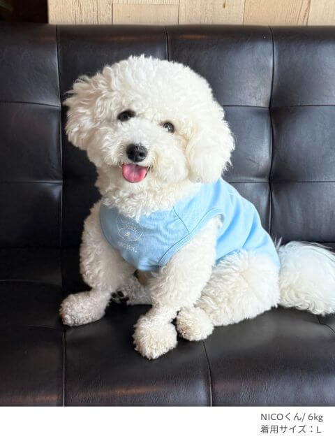 MY DOG is No.1ビションフリーぜノースリーブ犬服ブランドのドッグデプト/DOG DEPT