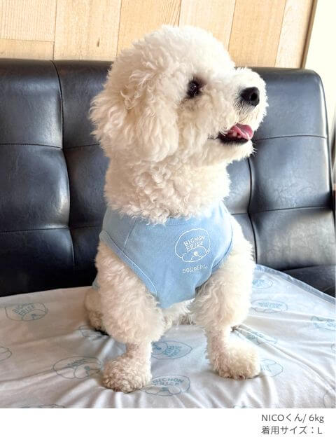MY DOG is No.1ビションフリーぜノースリーブ犬服ブランドのドッグデプト/DOG DEPT