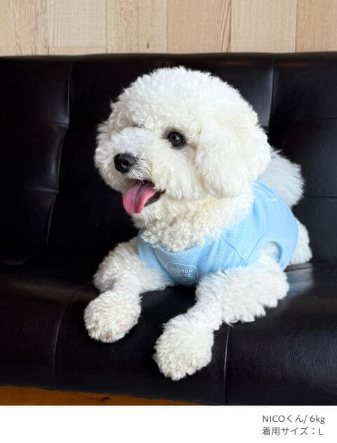 MY DOG is No.1ビションフリーぜノースリーブ犬服ブランドのドッグデプト/DOG DEPT