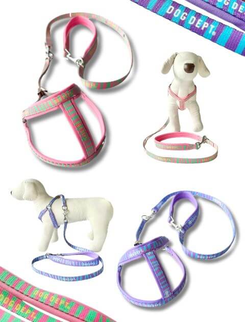 【DOG GOODS】パステルゼブラリード＆ライトハーネスセット